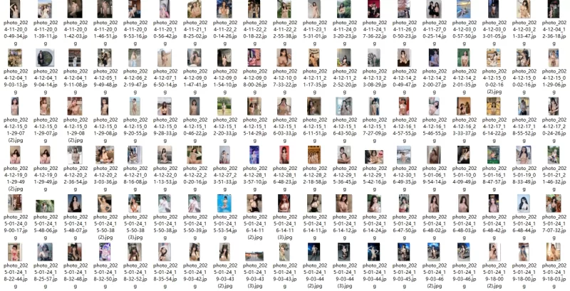有撸点 AI精品图【95p+11.3M】