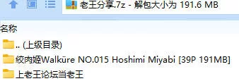 福利姬 絞肉姬Walküre NO.015 Hoshimi Miyabi【39P+191MB】