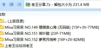 福利姬 Misa习呆呆 珊瑚宫心海/若叶睦/夢見月瑞希【54p5v+231M】