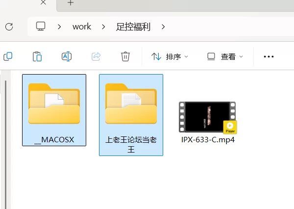 日韩AV 黑丝足控福利【1v+4g】