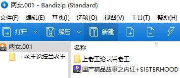 美女御姐 国产精品故事之内讧 两女被恰S【1v+1.6g】