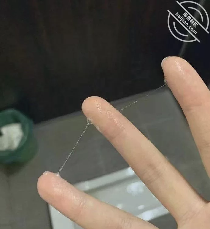 自拍 海角2025年新贴姐弟一世情合集【23v+4.3g】