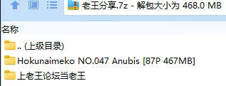 福利姬 Hokunaimeko北乃芽子NO.047 Anubis【87P+467MB】