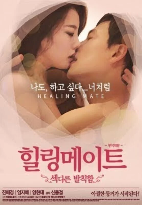 韩国 愈合伴侣.Healing.Mate.2014.韩语中字【1V+958MB】