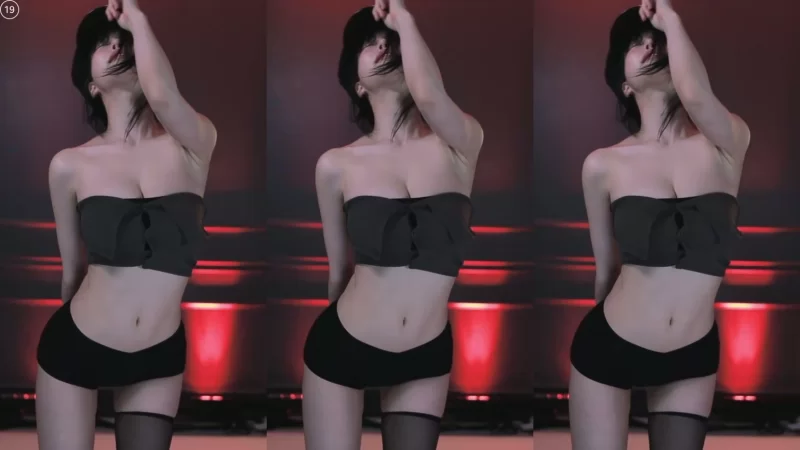 日韩主播 [自录]韩国美女主播과즙세연诗妍4月热舞小合集【10v+1.6g】