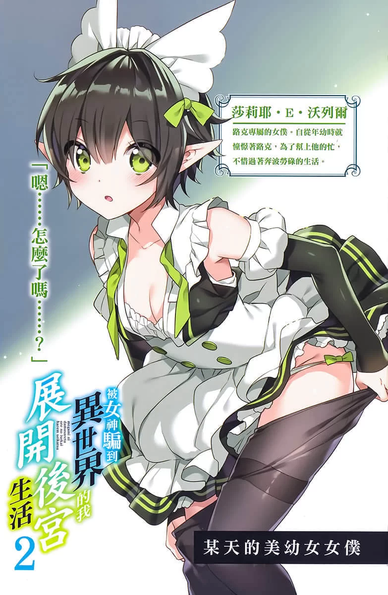 其他 被女神骗到异世界的我展开后宫生活(正经小说)【+9M】