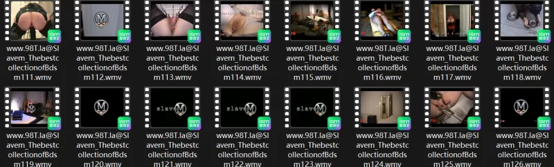 合集 重口！slavem改造大师全集【83v+34G】