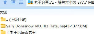 福利姬 Sally Dorasnow NO.103 Hatsune【43P+377.8M】