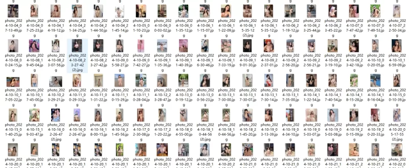 有撸点 AI精品图【95p+11.3M】