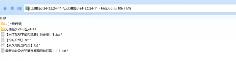 国产coser 无情颖少24年3月至11月觅圈图片【400p+106m】