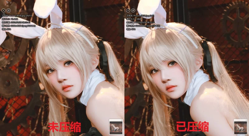 超大合集 [拯救硬盘]超大Cos福利姬资源压缩合集【252265P+3044V+360G】