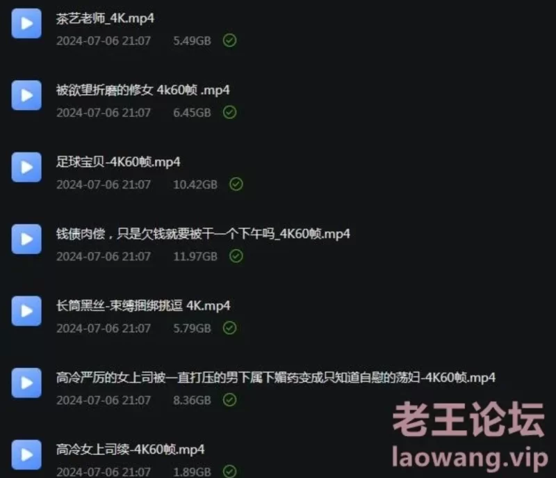 自拍 娜娜4K超大合集【86V+57p+497G】