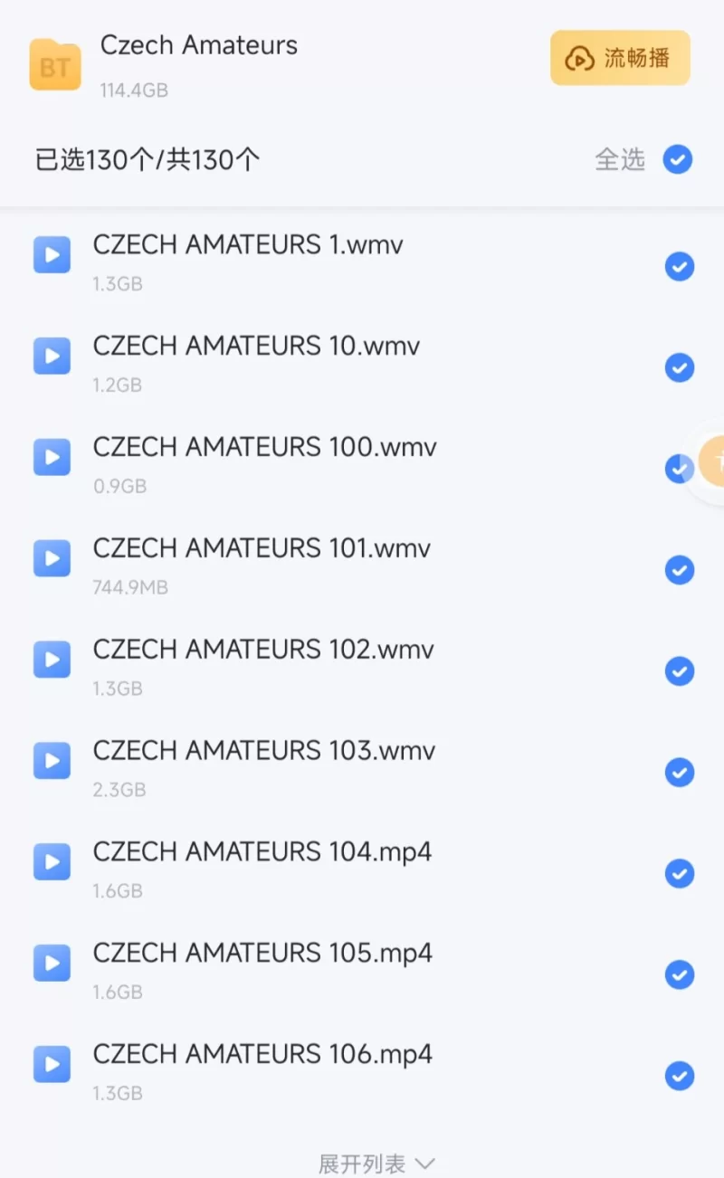 合集 Czech Amateurs（情侣自拍）【130V+114G】