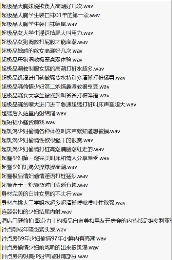 合集类 酒店门缝叫床录音超大合集170部：有风情少妇，有偷情的【170A+25.5G】