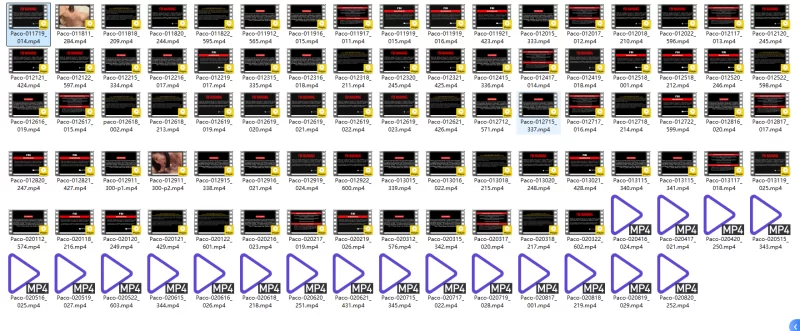 合集 Pacopacomama2（011719_014-020820_252）合集【100V+73.6G】