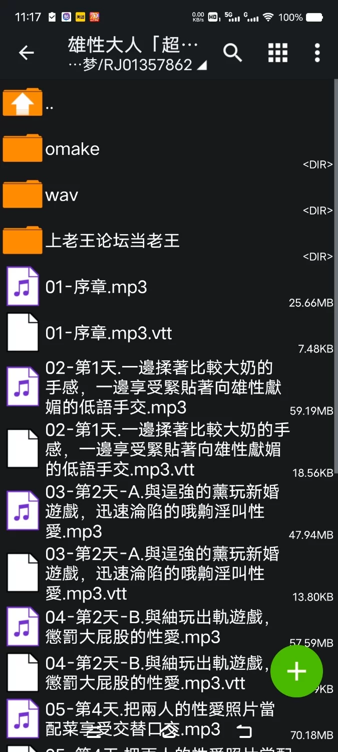 ASMR [繁中]男“超”全面肯定 一个对你神魂颠倒的皇子，和两个对你倾心奉承的后宫女眷【9V+2.8G】