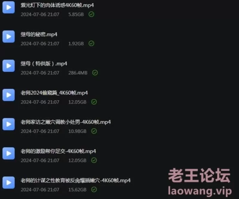自拍 娜娜4K超大合集【86V+57p+497G】