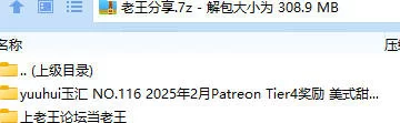 福利姬 yuuhui玉汇 NO.116 2025年2月Patreon Tier4奖励 美式甜心+伊拉尔-闪【57P2V+314M】