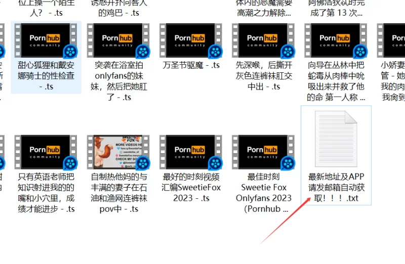合集 高质量俄罗斯Coser博主sweetie_fox视频合集【105V+37.9G】