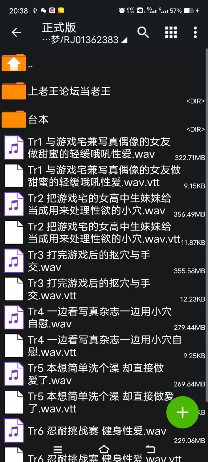 ASMR [简体中文版]与游戏宅写真偶像姐妹的家里蹲慵懒性爱生活【7V+1.7G】