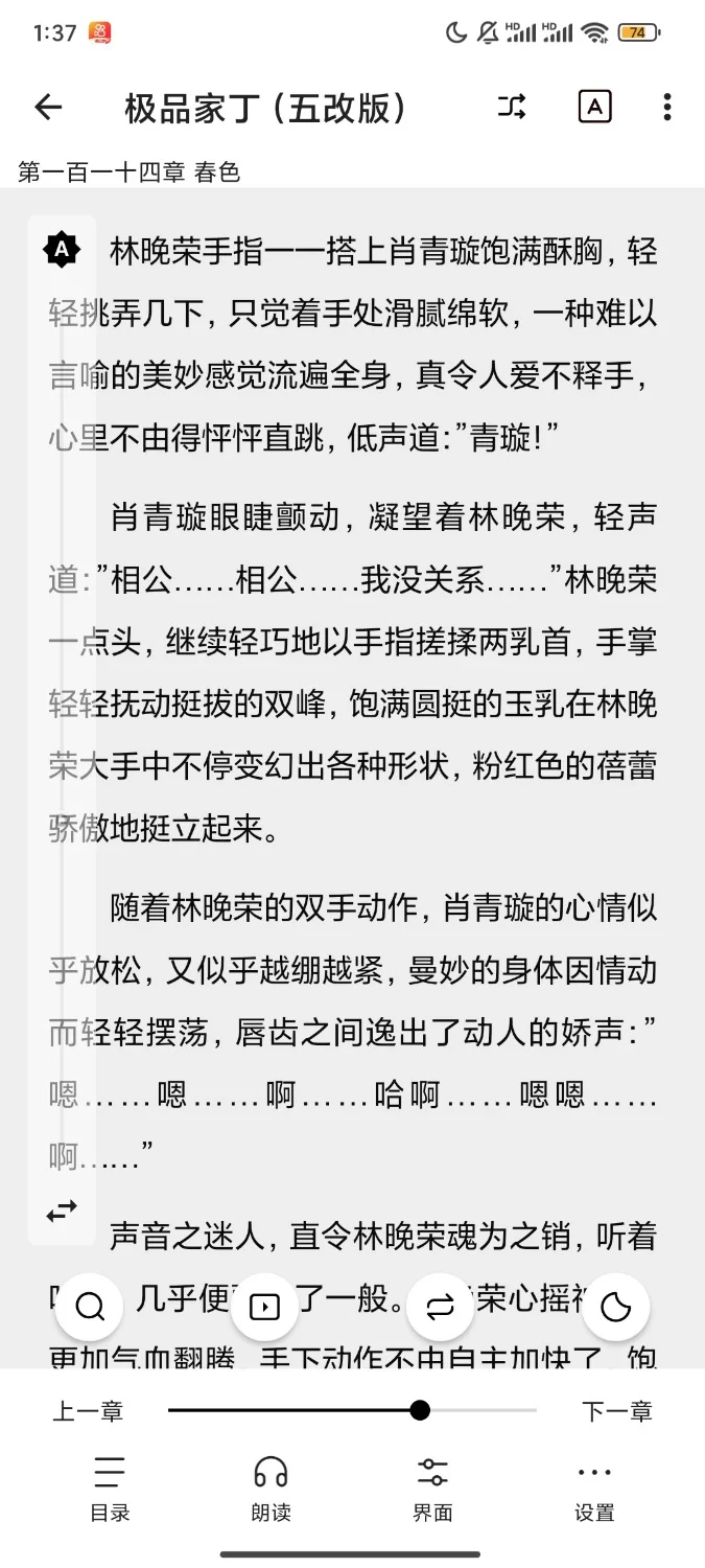 其他 极品家丁加料版【+3M】