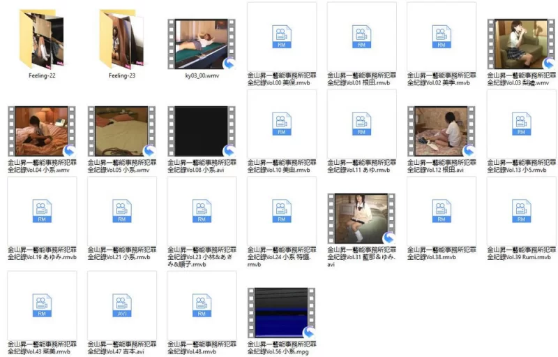 女大学生 [经典重现]金山升一艺能事务所犯罪全纪录30部【30V+7.83G】