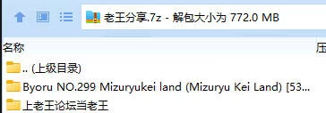 福利姬 Byoru NO.299 Mizuryukei land (Mizuryu Kei Land)【53P5V+772MB】