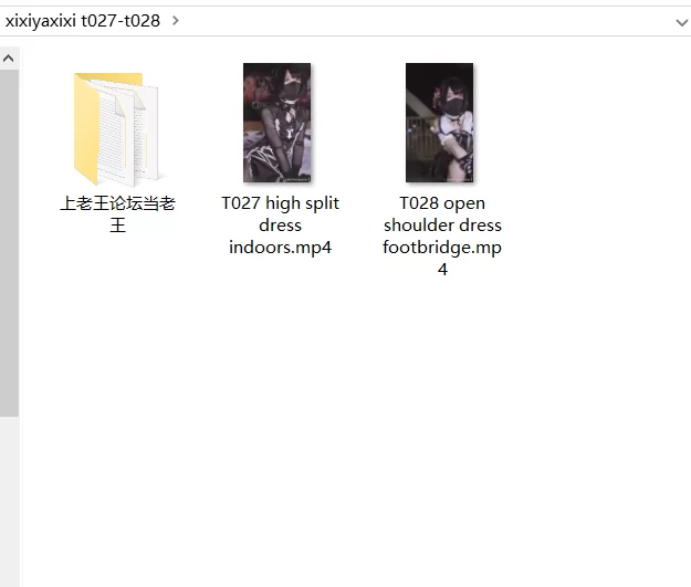 CD 伪娘 xixiyaxixi曦曦 t027+t028【2v+400m】