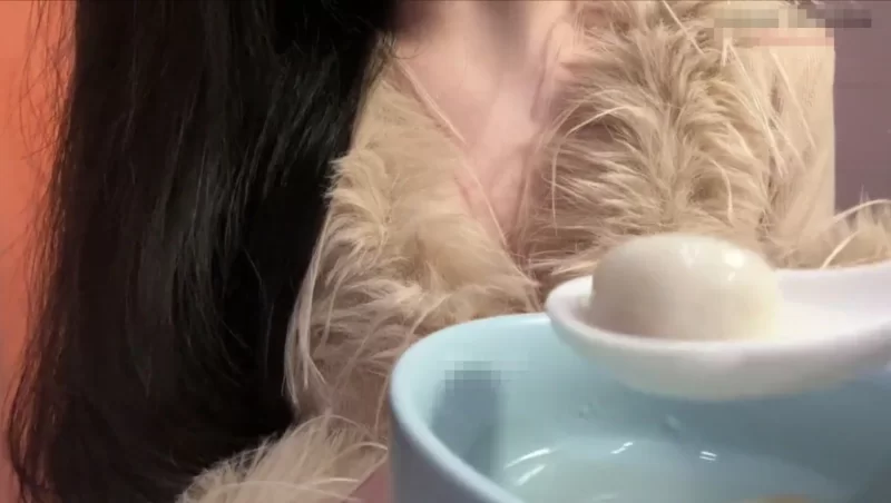 ASMR 斗鱼ASMR御姐主播[婉儿别闹]喂你吃汤圆【1V+216M】