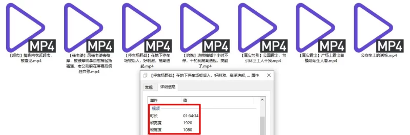 自拍 最新流出，全网狂人，硬核户外真实勾引骚女[性感小猫【7V+1.91G】