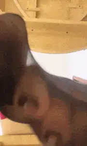 福利姬 丝足剧情调教福利姬-小X大王足控/足交/丝足/调教/寸止/羞【1+22G】