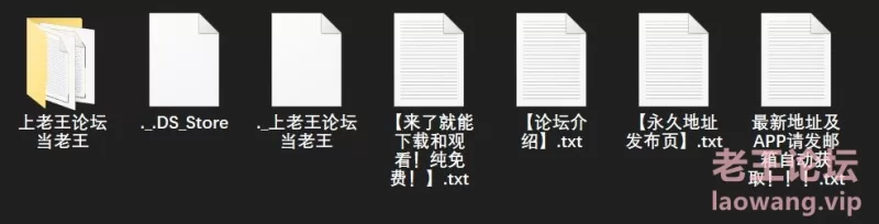 漏点 乌克兰写真模特 Elvira U【未知数+130GB】