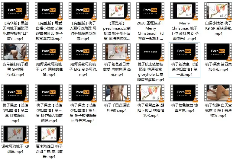 各种门 调教女奴SP打屁股  23V合集 4.62G【23V+4620M】