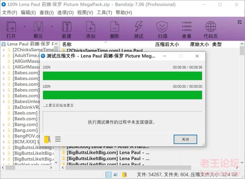 漏点 Lena Paul 莉娜·保罗 写真系列【未知数+33GB】