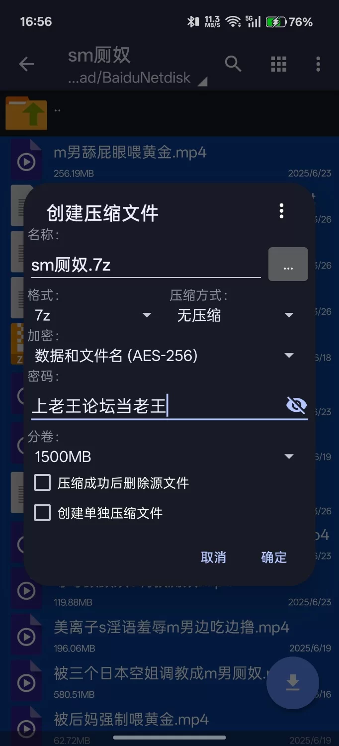 SM 男奴黄金圣水口舌调教合集2/黄金/吃屎/m男/舔屁眼/舔菊【11v+2.27G】