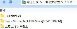 福利姬 Sayo Momo NO.118 Mary【105P+538.8M】