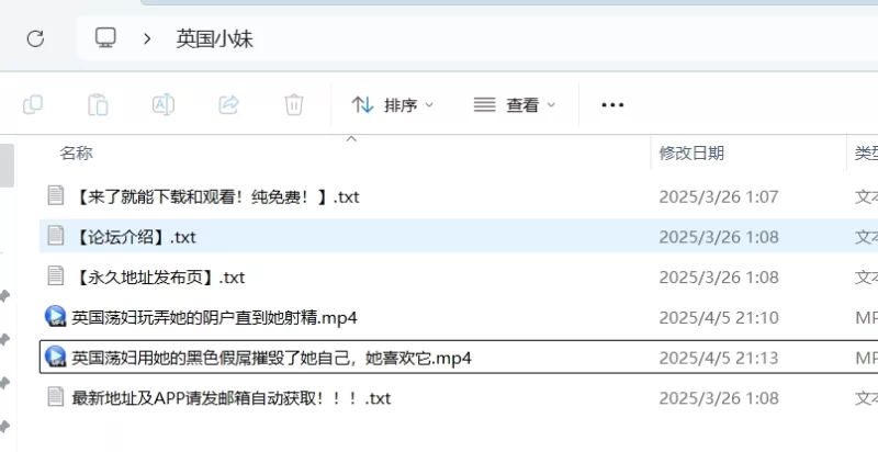 欧美主播 英国小婊子【2V+311M】