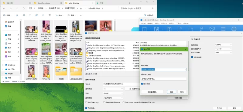 高颜值 自己收藏的belle delphine片子【14V+1.37G】