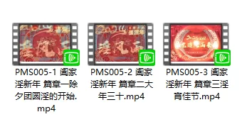 合集 蜜桃影像PMS005阖家淫新年三部合集【3v+1.38g】
