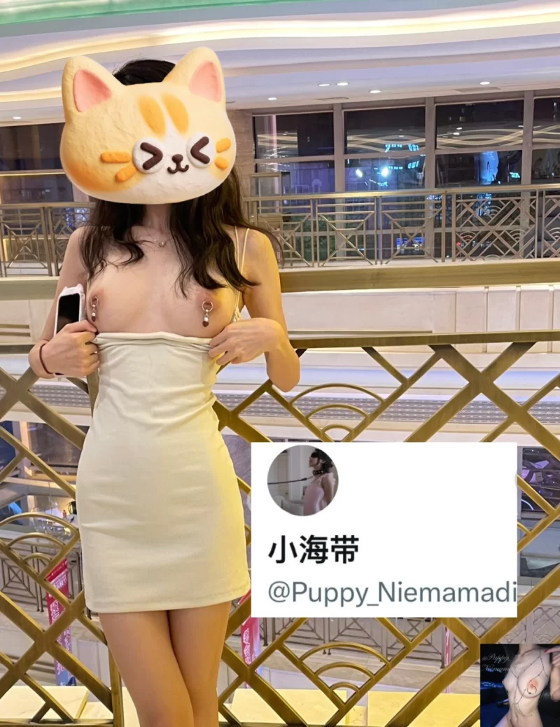 女大学生 在校乳环白虎少女『小海带』私拍福利，极品S级身材【12v+336m】