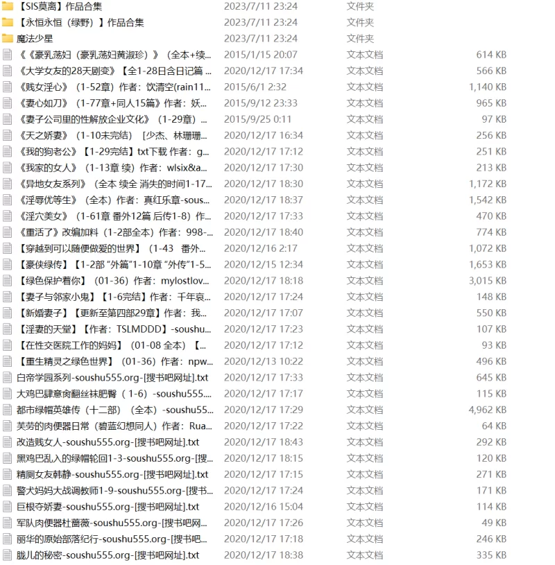 绿帽绿奴 肉便器 公共厕所类绿文合集120本【+35.3MB】
