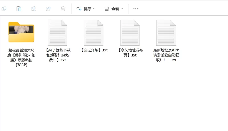 漏点 青春初恋感少女高颜值肥臀眼镜妹saiznekoOF原版私拍【383P+576M】