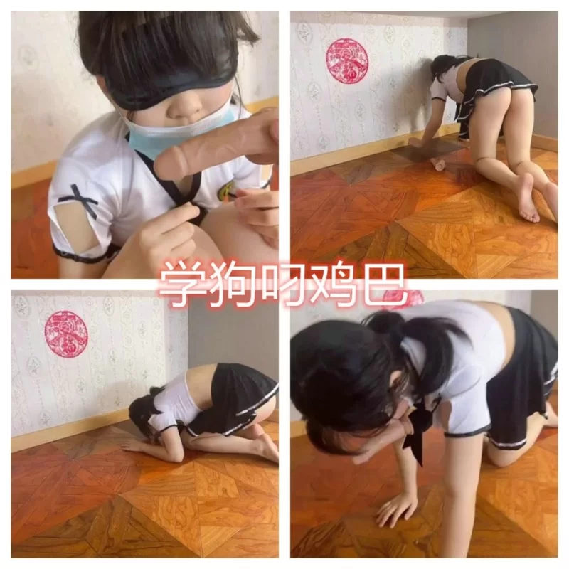 合法萝莉 [调教母狗教材]大神收徒传授勾搭 实战调教母狗教材2【16V+100P+1.54G】