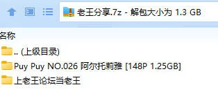 福利姬 Puy Puy NO.026 阿尔托莉雅【148P+1.25GB】
