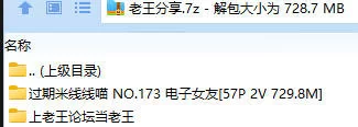 福利姬 过期米线线喵 NO.173 电子女友【57P2V+729.8M】