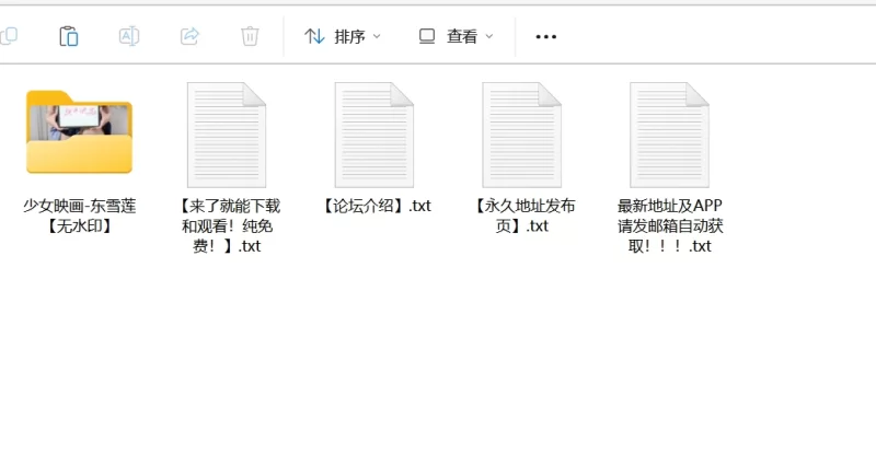 漏点 [无水印]极品美穴 少女映画 东雪莲【90P+863M】