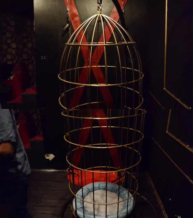 SM 殊系列SM，酒店约炮20岁女大学生，直逼日本SOD【8P2V+4.53G】
