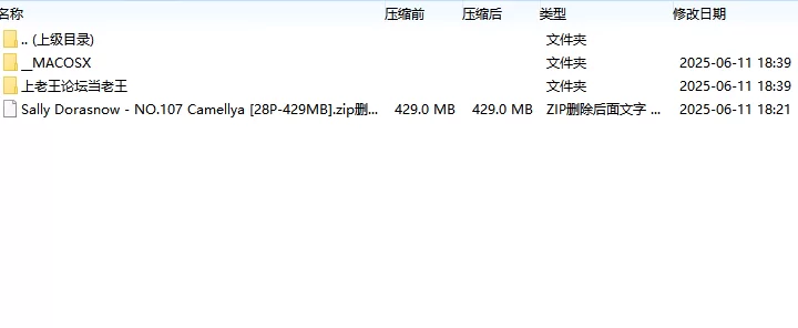 国产coser Sally Dorasnow - NO.107 Camellya【28P+429MB】