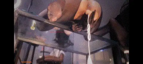 自拍 虎牙颜值巨乳桃一新增连体黑丝抖奶道具自慰高潮痉挛【1V+671M】