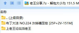 福利姬 布丁大法 NO.224 灰絲襪足控【25P+2V+151M】
